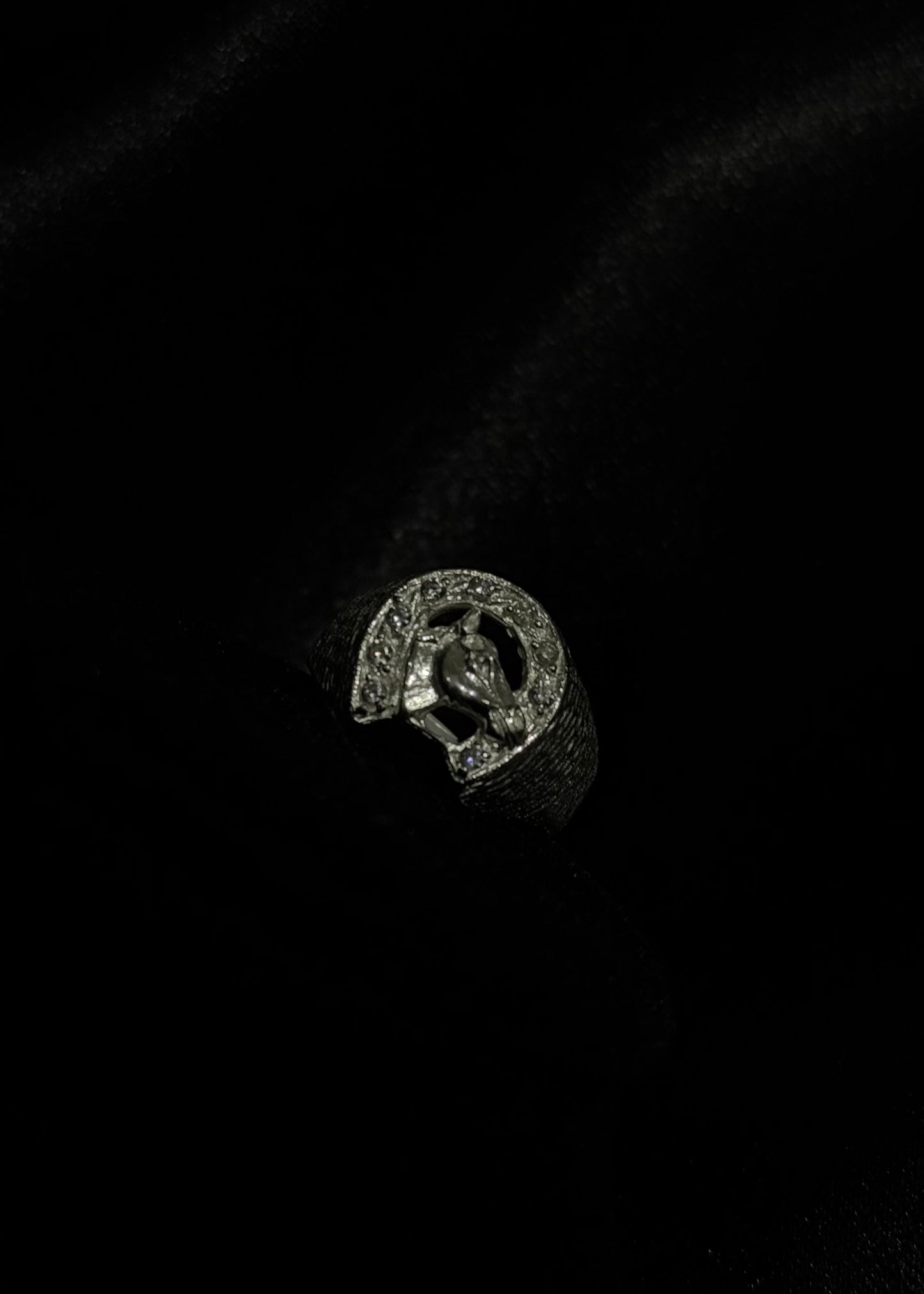 925 Sterling Silver Horseshoe & Horse Signet Ring – Western Lucky Ring