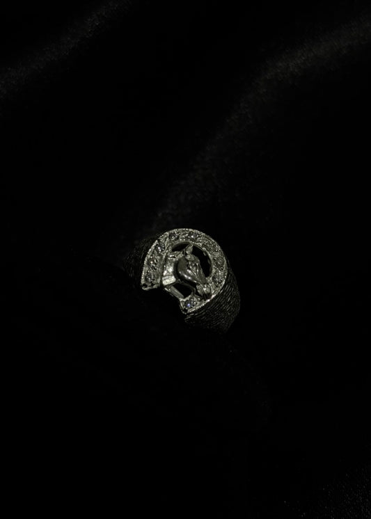 925 Sterling Silver Horseshoe & Horse Signet Ring – Western Lucky Ring